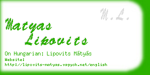 matyas lipovits business card